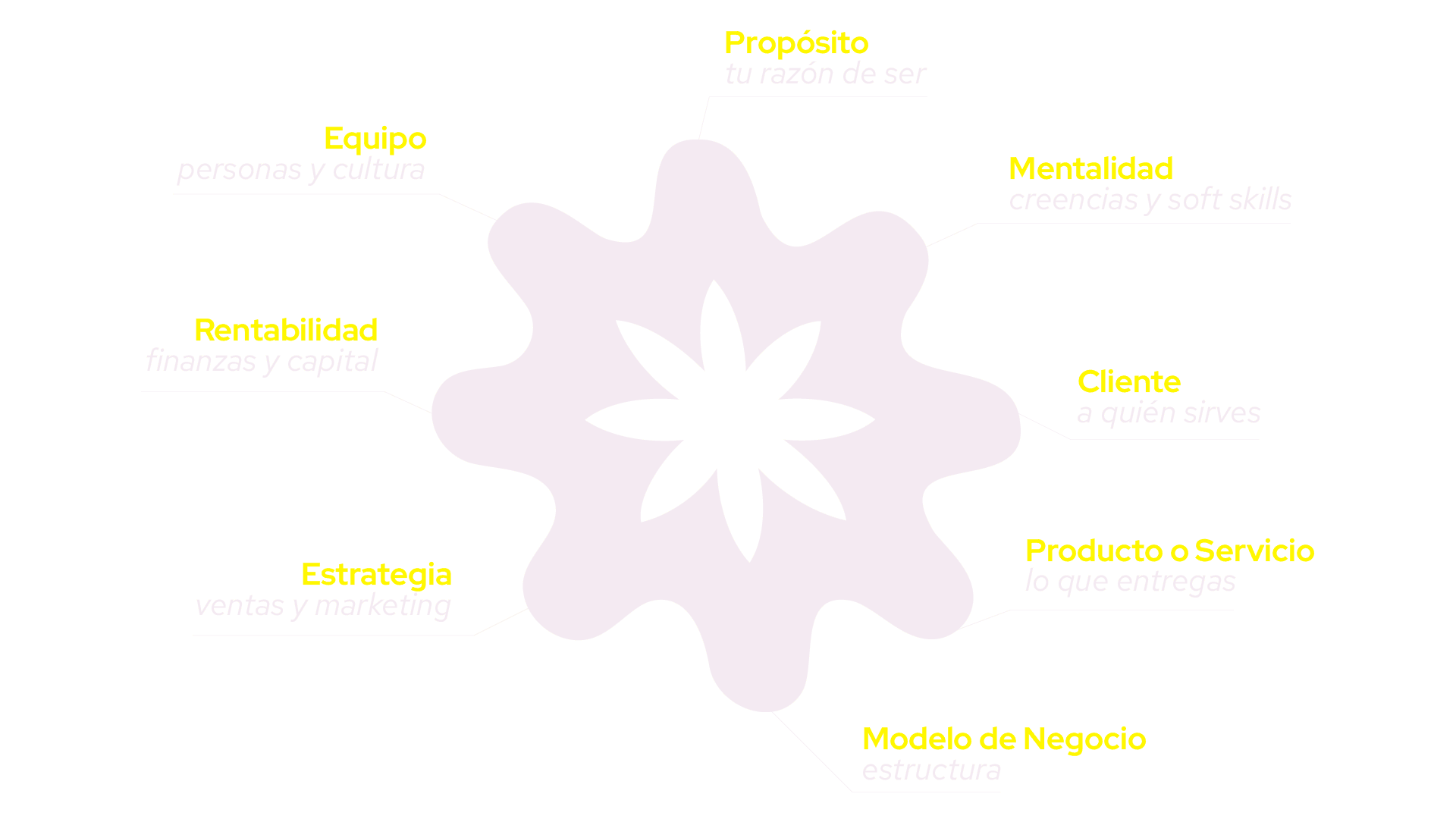 Las 8 dimensiones del emprendimiento